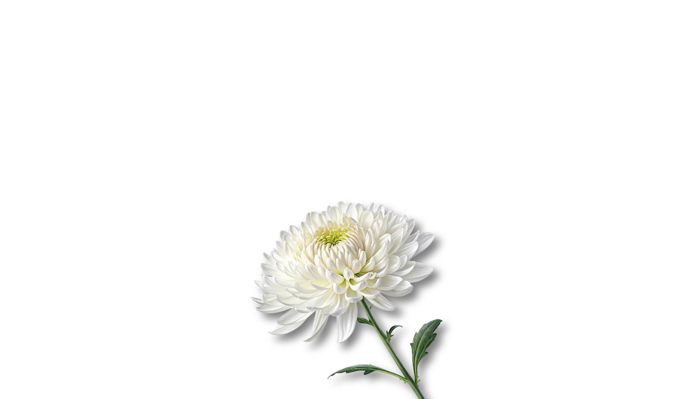 배너 이미지